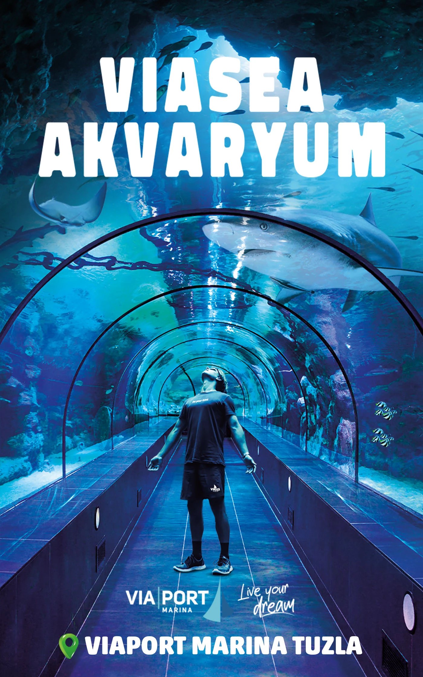 ViaSea Akvaryum